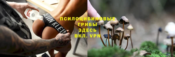 ALPHA-PVP Аркадак