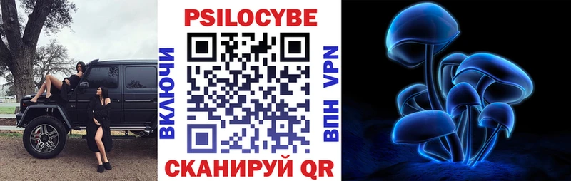 закладка  кракен зеркало  Псилоцибиновые грибы GOLDEN TEACHER  Ростов 